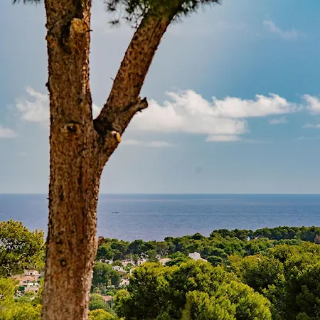 Pomelo Plus-1 By Interhome Jávea