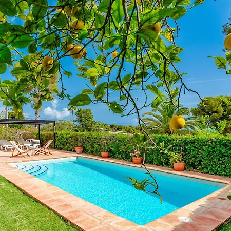 Pomelo Plus-1 By Interhome Jávea